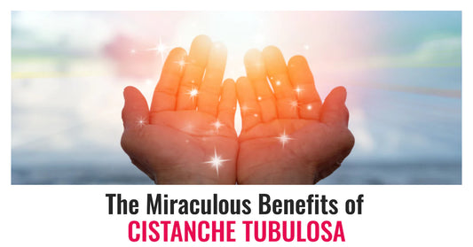 The Miraculous Benefits of Cistanche Tubulosa